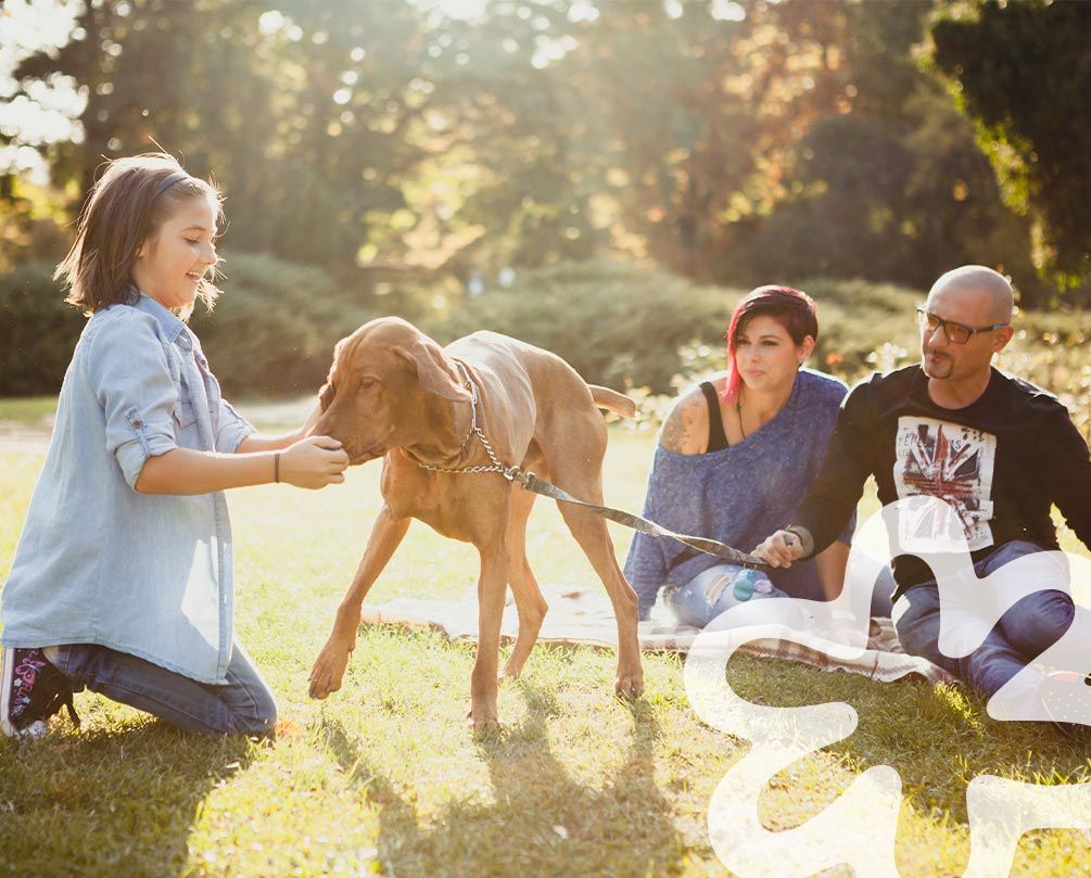 Foster family having a picnic with their dog